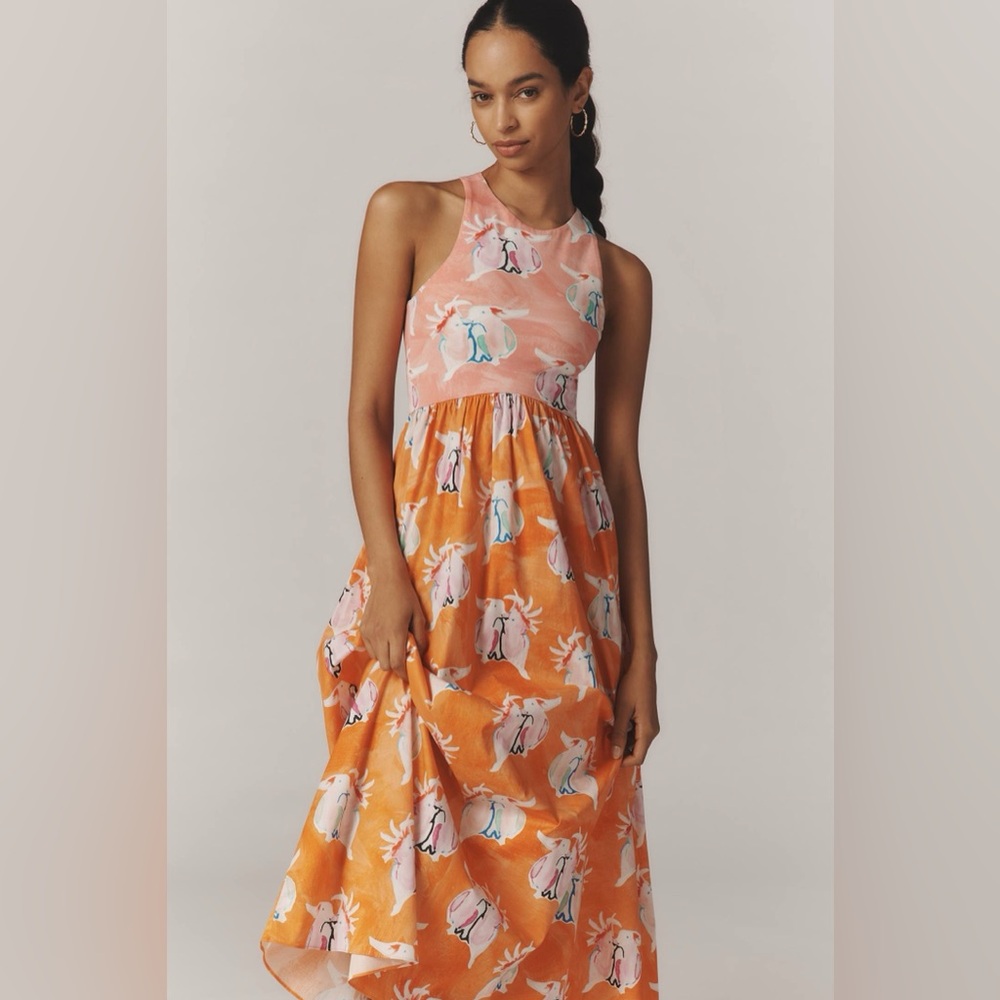 Rachel Antonoff Pink and Orange Maxi Dress with Playful Print - Picture 2 of 16